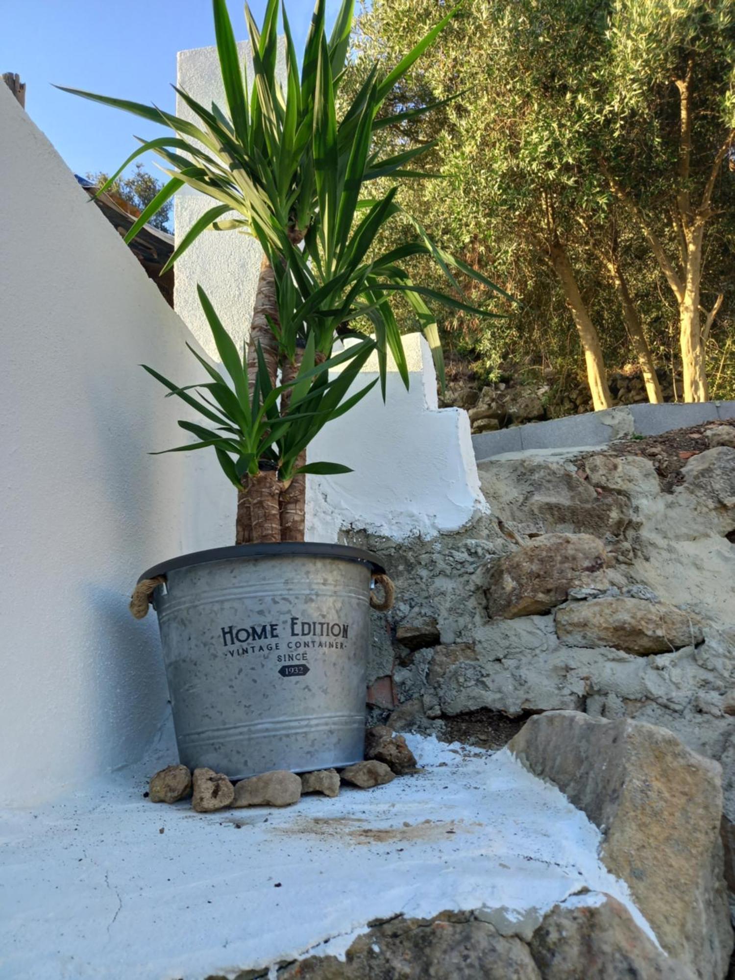 Casa25 Villa Alenquer Kültér fotó